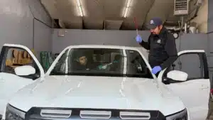 Two technicians wearing blue gloves perform windshield repair coverage on a white pickup truck.