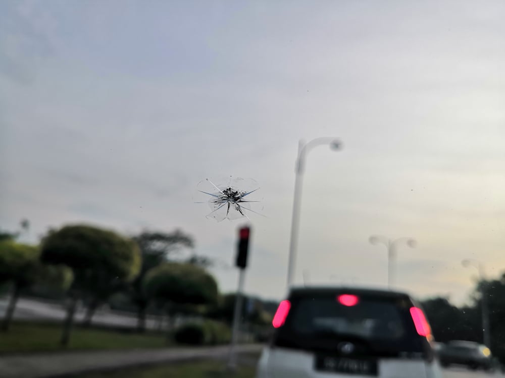 Close-up of a spider on an auto glass windshield, with a blurred traffic light, trees, and a white car visible in the background in Salt Lake City.